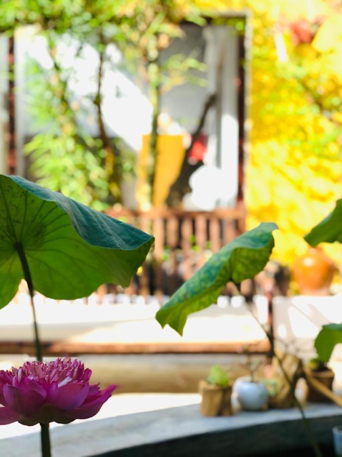Leranda Homestay フエ エクステリア 写真