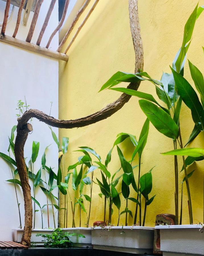 Leranda Homestay フエ エクステリア 写真