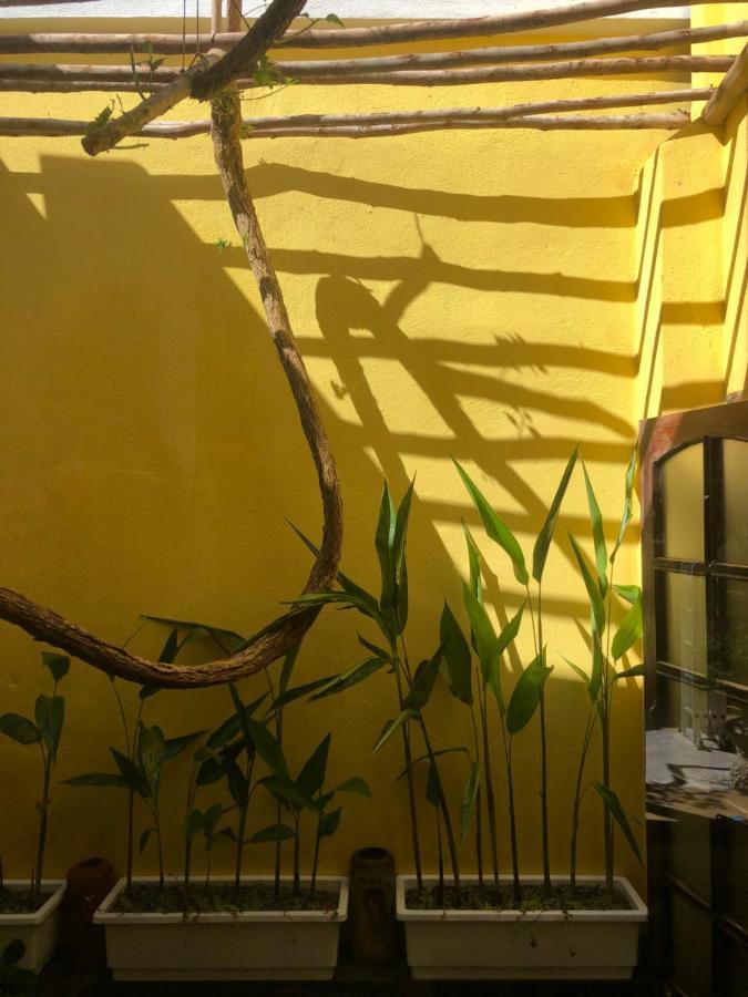 Leranda Homestay フエ エクステリア 写真