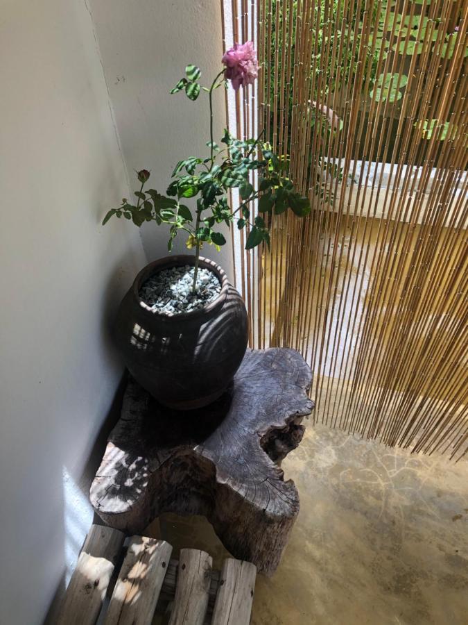 Leranda Homestay フエ エクステリア 写真