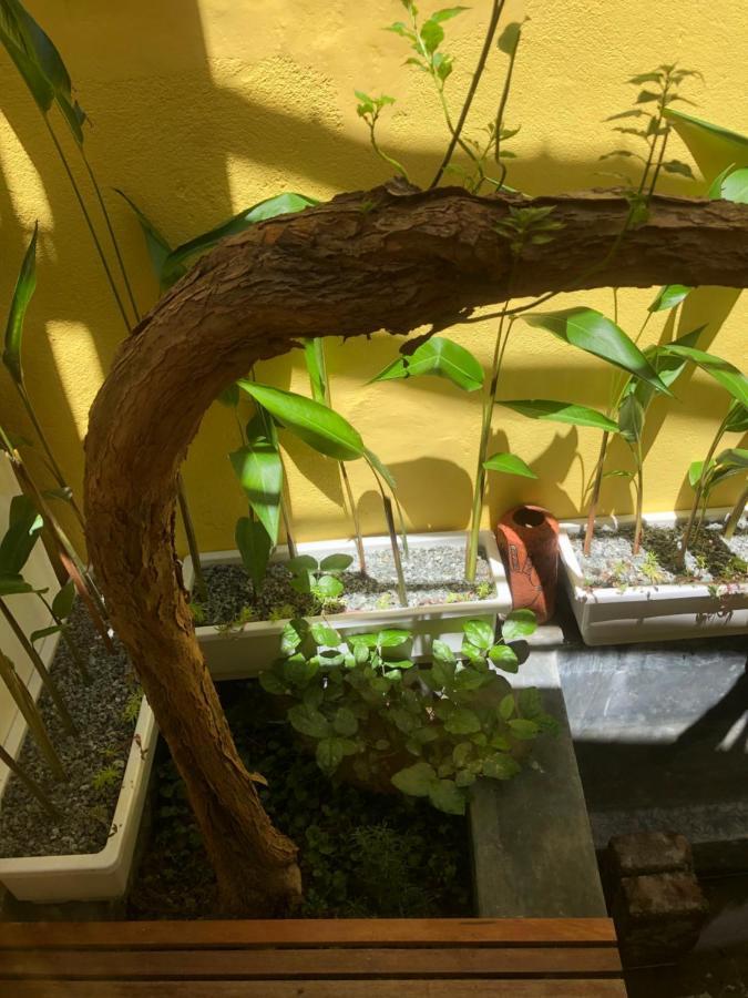 Leranda Homestay フエ エクステリア 写真