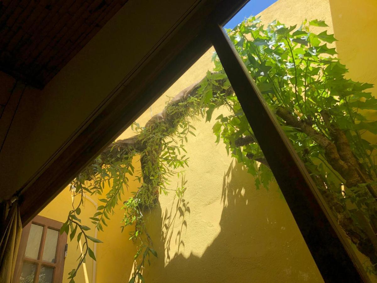Leranda Homestay フエ エクステリア 写真