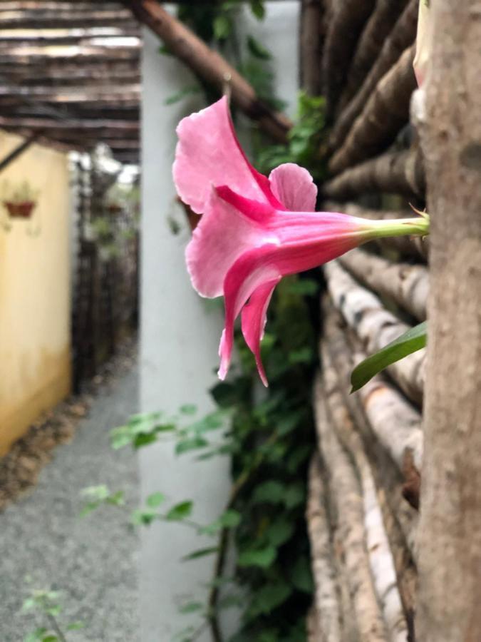 Leranda Homestay フエ エクステリア 写真